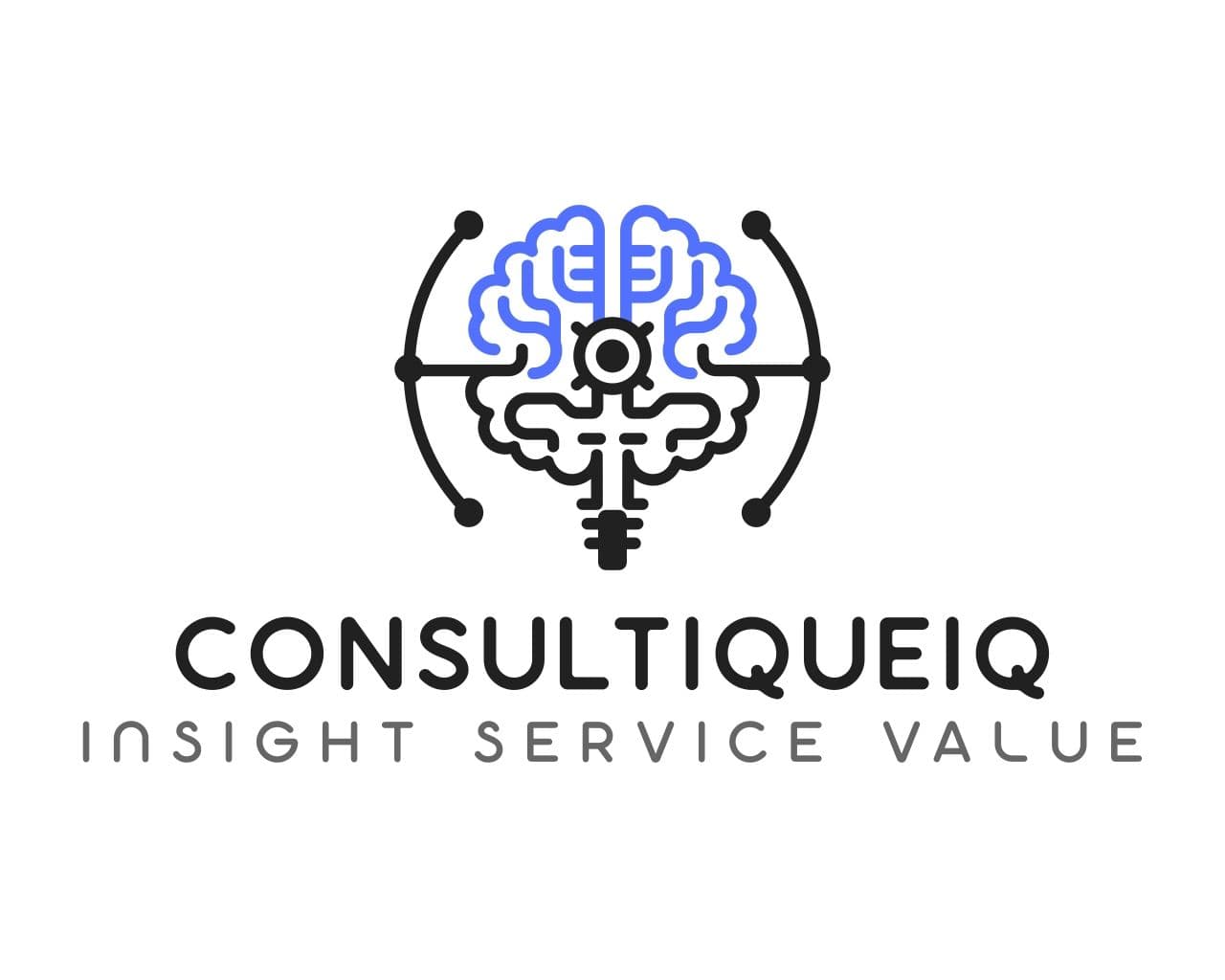 ConsultiqueIQ